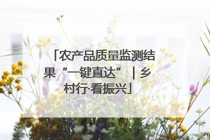 农产品质量监测结果“一键直达”｜乡村行·看振兴