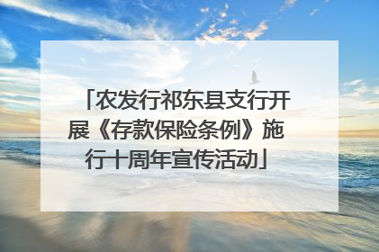 农发行祁东县支行开展《存款保险条例》施行十周年宣传活动