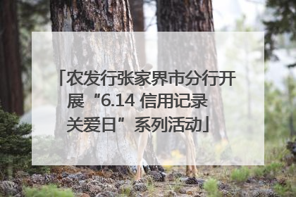 农发行张家界市分行开展“6.14 信用记录关爱日”系列活动