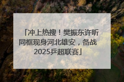 冲上热搜！樊振东许昕同框现身河北雄安，备战2025乒超联赛