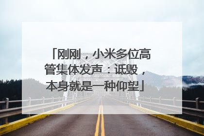 刚刚，小米多位高管集体发声：诋毁，本身就是一种仰望