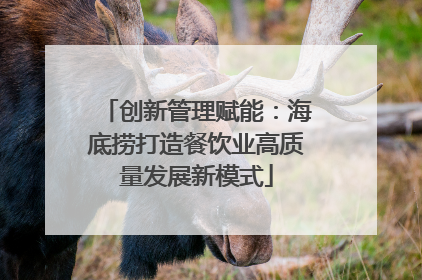 创新管理赋能：海底捞打造餐饮业高质量发展新模式