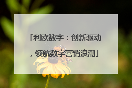 利欧数字：创新驱动，领航数字营销浪潮