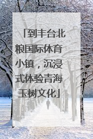到丰台北粮国际体育小镇，沉浸式体验青海玉树文化