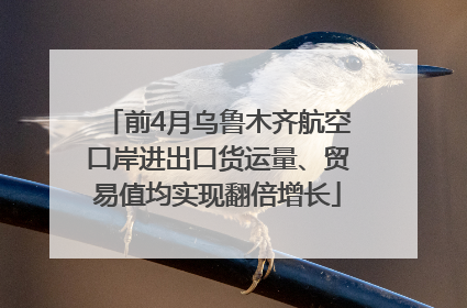 前4月乌鲁木齐航空口岸进出口货运量、贸易值均实现翻倍增长