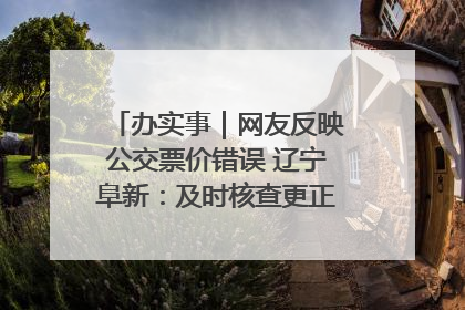 办实事｜网友反映公交票价错误 辽宁阜新：及时核查更正 加强实时巡检
