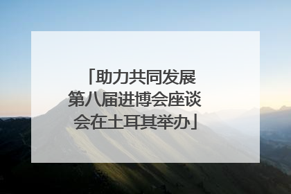 助力共同发展 第八届进博会座谈会在土耳其举办