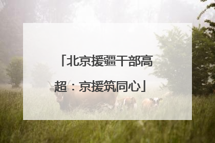 北京援疆干部高超：京援筑同心