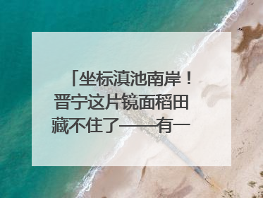 坐标滇池南岸！晋宁这片镜面稻田藏不住了——有一种叫云南的生活之365天
