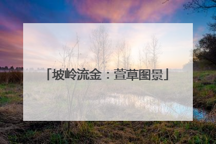 坡岭流金：萱草图景