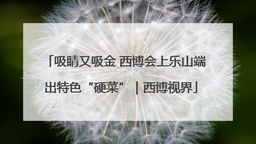 吸睛又吸金 西博会上乐山端出特色“硬菜”｜西博视界