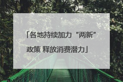 各地持续加力“两新”政策 释放消费潜力