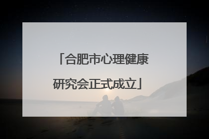 合肥市心理健康研究会正式成立