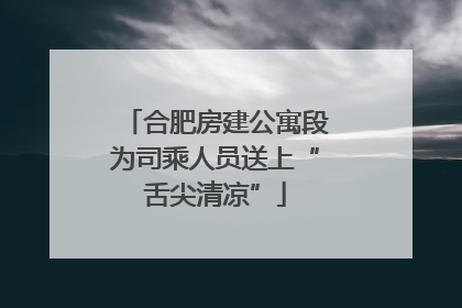 合肥房建公寓段为司乘人员送上“舌尖清凉”