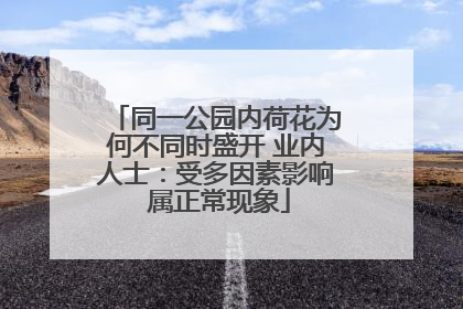 同一公园内荷花为何不同时盛开 业内人士：受多因素影响 属正常现象