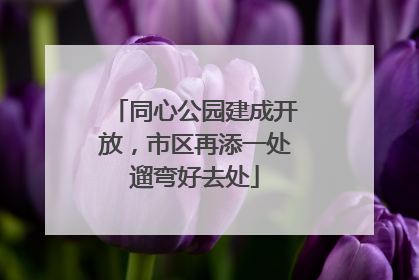 同心公园建成开放，市区再添一处遛弯好去处