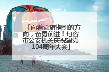 向着党旗指引的方向，奋勇前进！句容市公安机关庆祝建党104周年大会