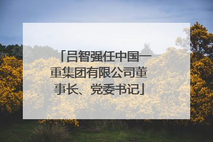 吕智强任中国一重集团有限公司董事长、党委书记