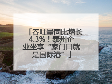 吞吐量同比增长4.3%！泰州企业坐享“家门口就是国际港”
