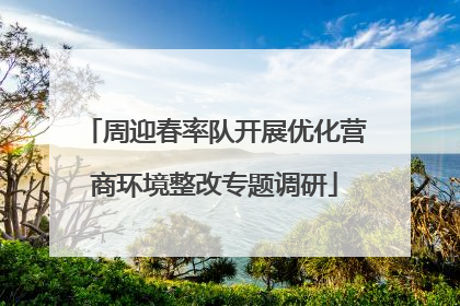 周迎春率队开展优化营商环境整改专题调研