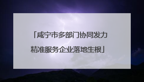 咸宁市多部门协同发力 精准服务企业落地生根