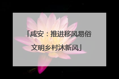 咸安：推进移风易俗 文明乡村沐新风