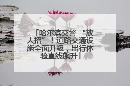 哈尔滨交警 “放大招”！道路交通设施全面升级，出行体验直线飙升
