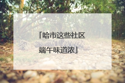 哈市这些社区端午味道浓