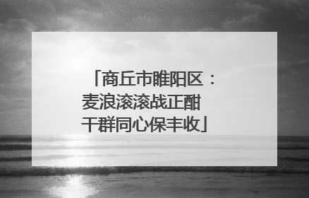 商丘市睢阳区：麦浪滚滚战正酣 干群同心保丰收