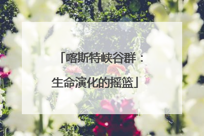 喀斯特峡谷群：生命演化的摇篮