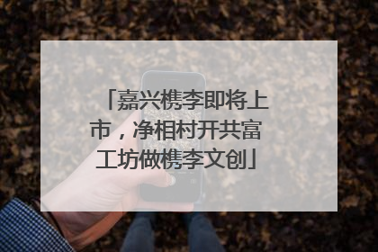嘉兴槜李即将上市，净相村开共富工坊做槜李文创