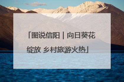 图说信阳｜向日葵花绽放 乡村旅游火热