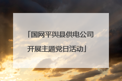 国网平舆县供电公司开展主题党日活动