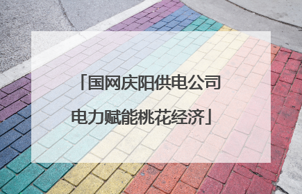 国网庆阳供电公司电力赋能桃花经济