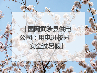 国网武陟县供电公司：用电进校园  安全过暑假