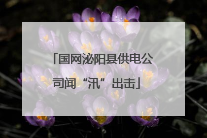 国网泌阳县供电公司闻“汛”出击