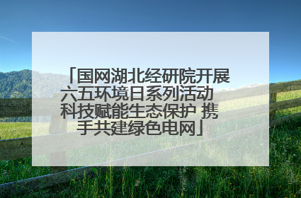 国网湖北经研院开展六五环境日系列活动 科技赋能生态保护 携手共建绿色电网