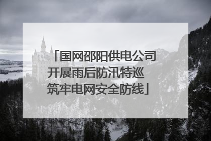 国网邵阳供电公司开展雨后防汛特巡 筑牢电网安全防线