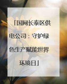 国网长泰区供电公司：守护绿色生产赋能世界环境日
