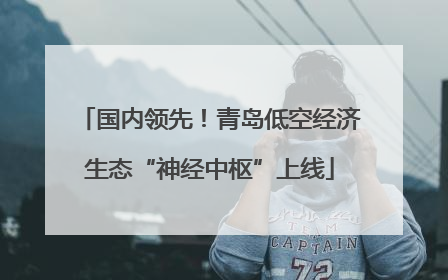 国内领先！青岛低空经济生态“神经中枢”上线
