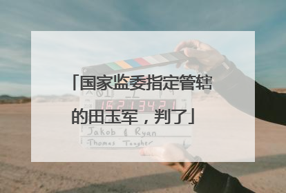 国家监委指定管辖的田玉军，判了