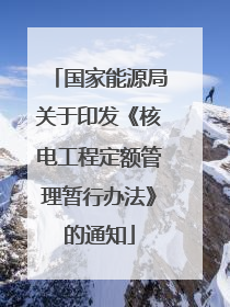 国家能源局关于印发《核电工程定额管理暂行办法》的通知