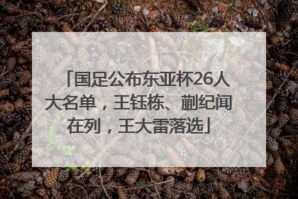 国足公布东亚杯26人大名单，王钰栋、蒯纪闻在列，王大雷落选