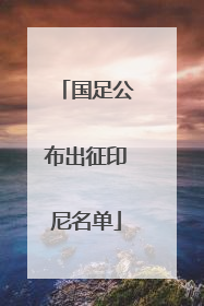 国足公布出征印尼名单