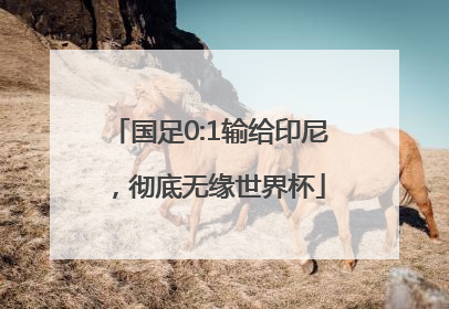 国足0:1输给印尼，彻底无缘世界杯