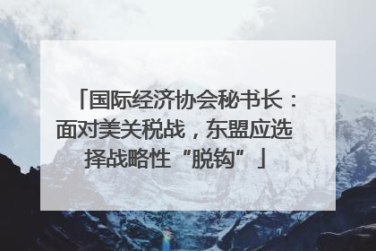 国际经济协会秘书长：面对美关税战，东盟应选择战略性“脱钩”
