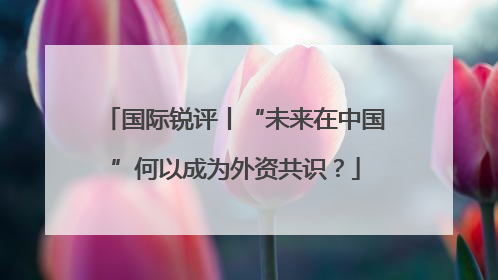国际锐评丨“未来在中国”何以成为外资共识？