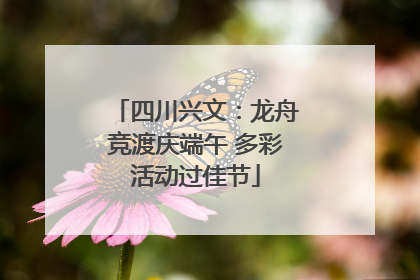四川兴文：龙舟竞渡庆端午 多彩活动过佳节