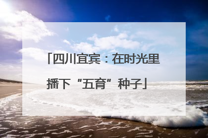 四川宜宾：在时光里播下“五育”种子