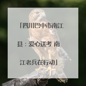 四川巴中市南江县：爱心送考 南江老兵在行动